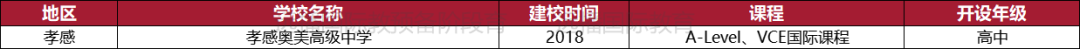 孝感國(guó)際化學(xué)校一覽