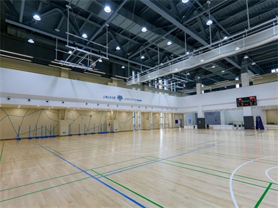 室內(nèi)球場