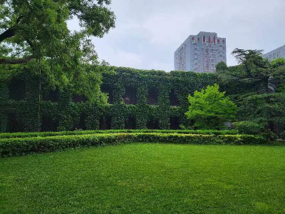 學校環(huán)境